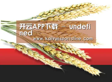 开云APP下载 - undefined