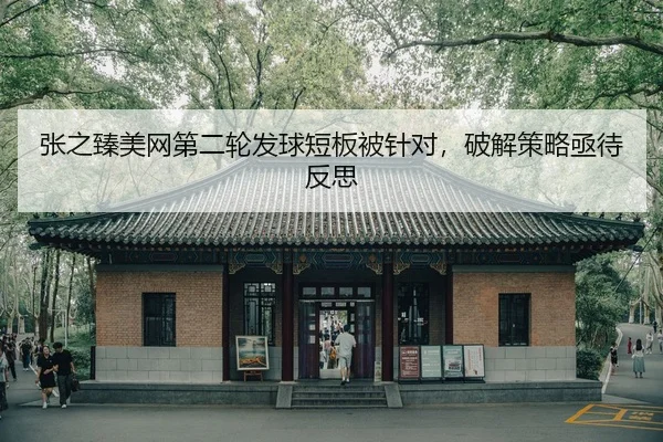 zhang-zhi-zhen-mei-wang-di-er-lun-fa-qiu-duan-ban-bei-zhen-dui-po-jie-ce-lve-ji-dai-fan-si-2-500.jpg