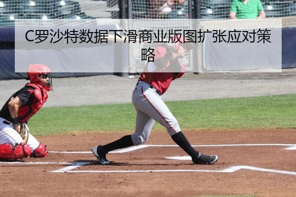luo-sha-te-shu-ju-xia-hua-shang-ye-ban-tu-kuo-zhang-ying-dui-ce-lve-2-814.jpg