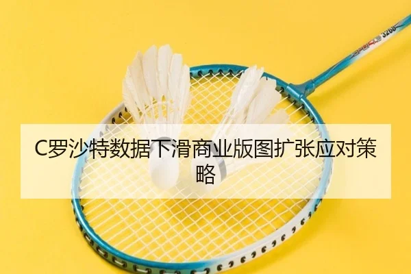 luo-sha-te-shu-ju-xia-hua-shang-ye-ban-tu-kuo-zhang-ying-dui-ce-lve-3-582.jpg