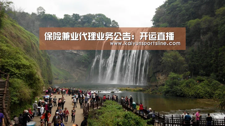 保险兼业代理业务公告：开运直播